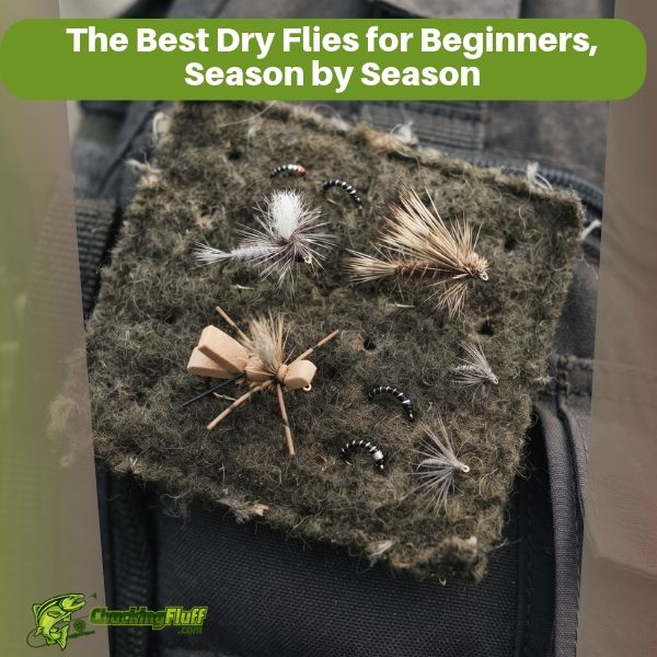 The Best Dry Flies for Beginners, Season by Season