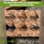 The Best Wet Flies for Beginners, and How to Fish Them