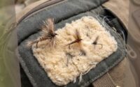Tippet Size for Dry Flies How to Stop Picking One Too Thick